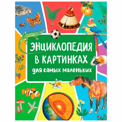 Энциклопедия в картинках для самых маленьких Росмэн 39029 1